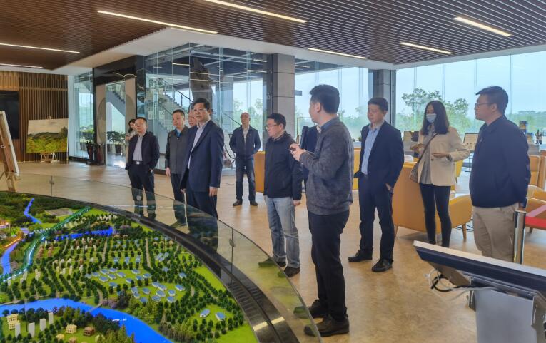 广西旅发集团党委书记、董事长容贤标考察集团文旅项目