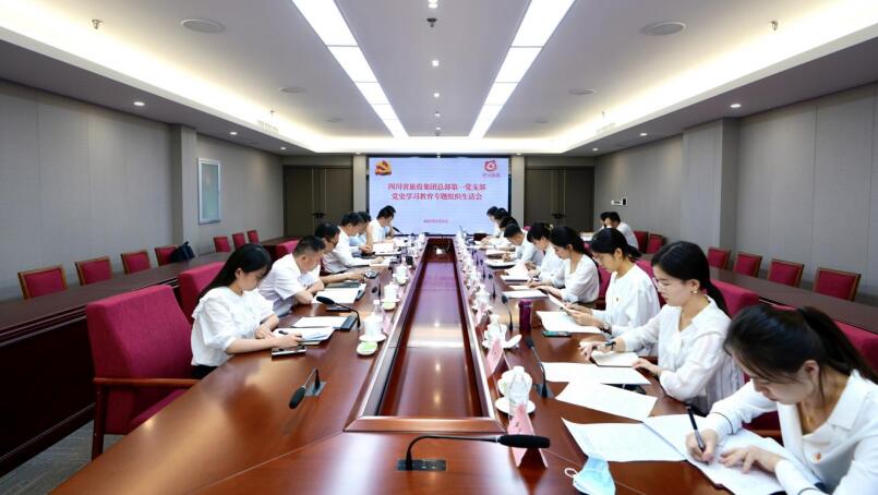 尊龙凯时集团党委书记、董事长任丁参加总部第一党支部党史学习教育专题组织生活会